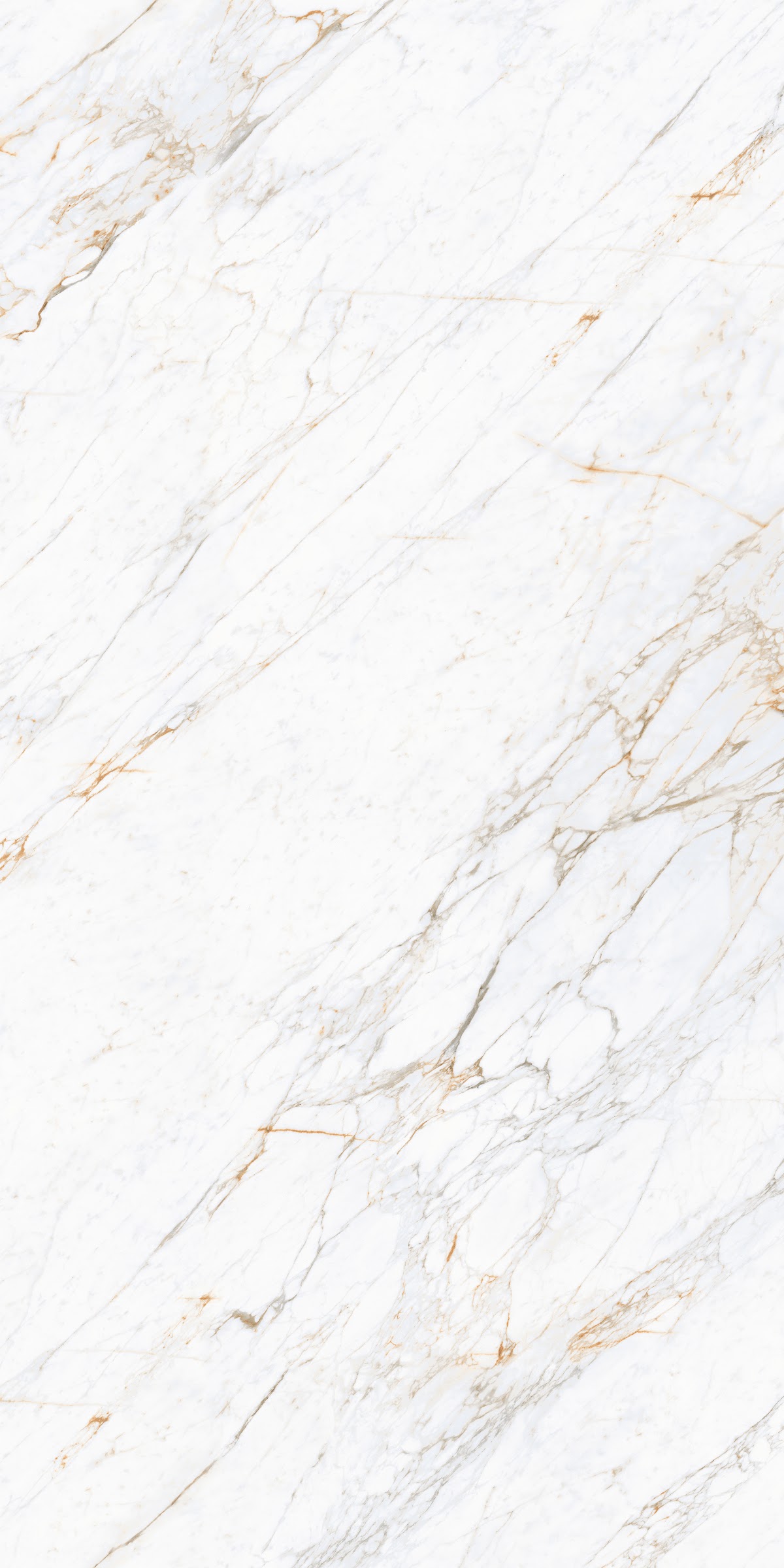 Đá nung kết Carrara Gold 160x320 LAMAR